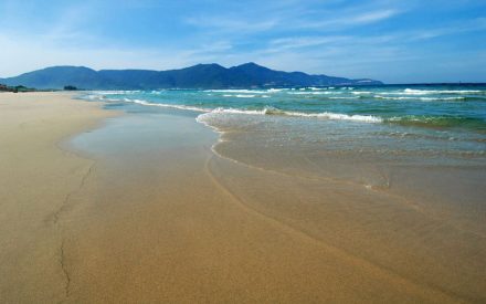 What is Golf Coast Vietnam?